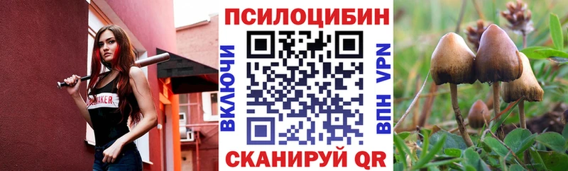 Галлюциногенные грибы Psilocybine cubensis блэк спрут tor Кедровый